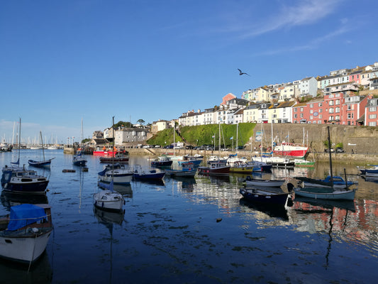 Why We Only Stock Wild-Caught British Seafood