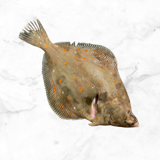 Fresh Wild Caught Plaice